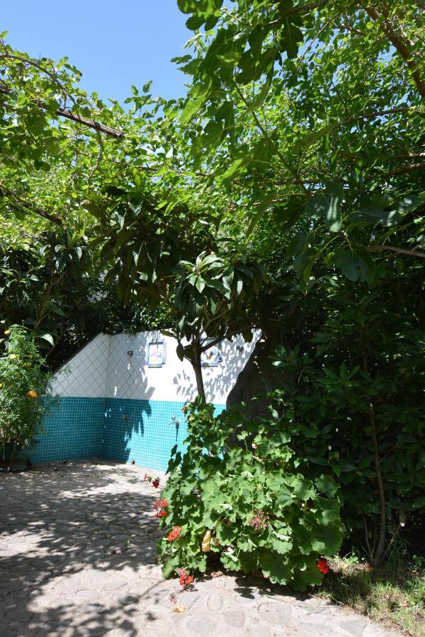 Residence L'Ulivo بودوني المظهر الخارجي الصورة